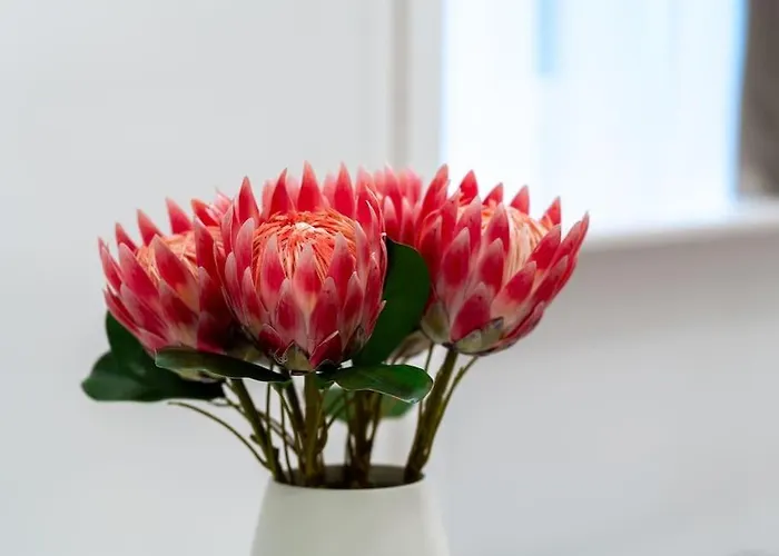 Appartement Loft 8 - Cozy Stylish With Parking